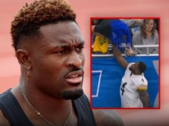 Steelers Wide Receiver DK Metcalf Melemparkan Pukulan ke Kipas, di Video