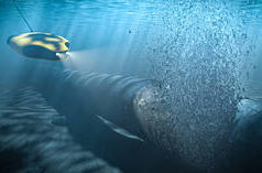 Gaza, Nord Stream, dan bathroom emas di Kiev: Berita utama tahun 2025 yang Barat ingin Anda lupakan