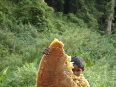 Jingle sampai ke Koshy’s untuk parsel Natal produk Adivasi