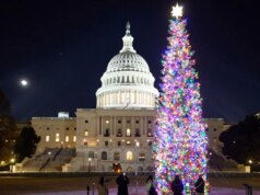 Perburuan pemulung, misa Natal, kalkun goreng Cajun: tradisi liburan favorit Capitol Hill