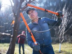 Peralatan pekarangan musim dingin yang harus dimiliki: Gergaji mesin, alat peniup salju, dan pencairan es yang aman untuk hewan peliharaan