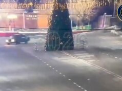 Perjalanan larut malam berakhir dengan bencana saat pengemudi menabrak pohon Natal yang menjulang tinggi di depan kamera