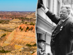 Departemen Dalam Negeri merencanakan pameran AI Theodore Roosevelt untuk Amerika250