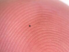 Pequenos robôs autônomos agora podem nadar sozinhos