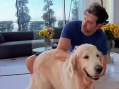 Hrithik Roshan compartilha novas fotos com o cachorro Zane