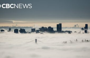 Como a tecnologia mantém o transporte em movimento em meio a uma névoa espessa