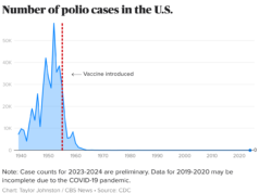 Enquanto RFK Jr. levanta dúvidas sobre a vacina, os dados mostram quantas vidas eles salvaram