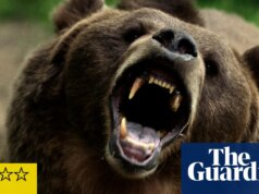 Crítica Grizzly Night time – animais atacam em thriller de acampamento de ursos rebeldes e adolescentes rebeldes