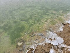 Uau, por que este lago congelado ficou verde?