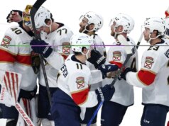 Panteras buscam impulso contínuo contra Wild