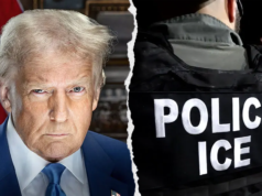 Especialistas conservadores em imigração dividem-se sobre se Trump está ‘recuando’ na luta contra o MN ICE