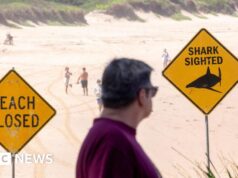 Menino de 12 anos morre ferido após ataque de tubarão em Sydney