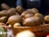 Batatas fritas, alguém? Fazenda alemã doa milhões de batatas após colheita abundante