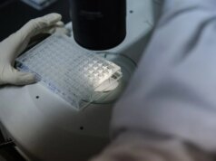 Análise que induz ao desespero mostra que a IA está corroendo a confiabilidade da publicação científica