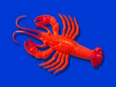 O criador do OpenClaw, Peter Steinberger, junta-se à OpenAI