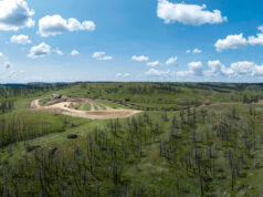 Das cinzas aos ativos: o Mastro de Seattle prova que a biomassa enterrada de incêndios florestais pode financiar a recuperação florestal