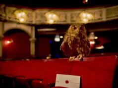 The Traitors anuncia versão de palco de 2027 com ‘novo campo de caça emocionante’