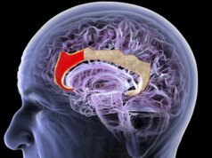 Esta startup chinesa quer construir uma nova interface cérebro-computador – sem necessidade de implante