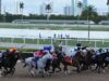 Skippylongstocking se recupera rapidamente e vence a Copa do Mundo Pegasus na Gulfstream