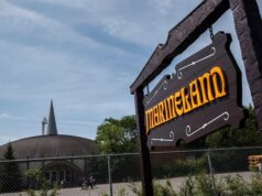 Canadá aprova plano para transferir baleias beluga programadas para eutanásia para os EUA