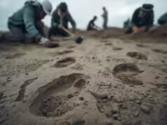 Arqueólogos descobrem pegadas humanas de 800.000 anos sob as areias do leste da Inglaterra