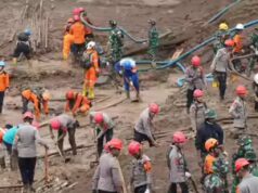 Aldeias soterradas, dezenas soterradas: 34 mortos em deslizamentos de terra na Indonésia; culpa do desmatamento