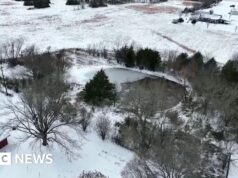 Três irmãos morrem após cair em lago congelado no Texas