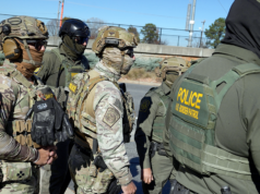 A iminente paralisação do governo ameaça membros do serviço, FEMA, TSA em meio ao deadlock do ICE