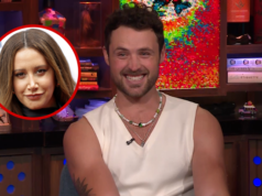 Dylan Efron substitui Ashley Tisdale no drama do Poisonous Mother Group