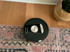 Qual é o melhor aspirador de robô Shark? Aqui estão minhas três principais escolhas após testar em casa.