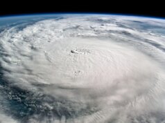 Trump destruiu a política climática em um ano. Podemos voltar?