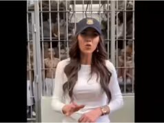 Tiroteio em Minneapolis: o diretor do FBI Kash Patel defende a Patrulha da Fronteira e Kristi Noem depois que Alex Pretti foi morto a tiros