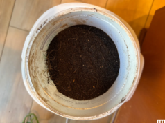 Melhores compostores de cozinha e recicladores de alimentos (2026)