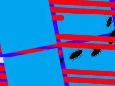 A Microsoft lança o segundo patch de emergência para Home windows este mês – atualize seu PC hoje