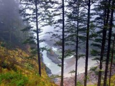 Natureza: Península Olímpica no estado de Washington