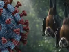 Alerta do vírus Nipah: Os Emirados Árabes Unidos estão em risco após o surto na Índia?
