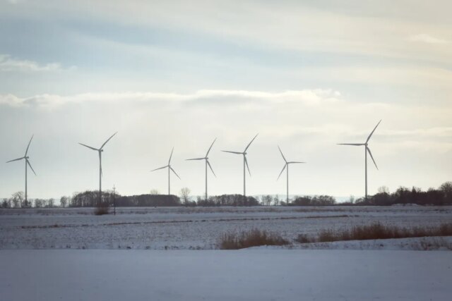 poland-wind-energy-farm.jpg