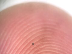 Este robô aquático autônomo é menor que um grão de sal