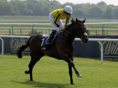 Ambiente Pleasant pretende superar obstáculos em Plumpton