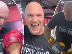 Quem é a melhor opção para a luta de retorno do Fury?