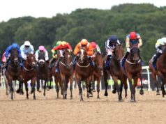 Bridget’s View pretende dobrar em Newcastle