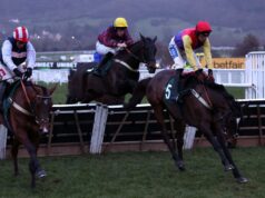 Taurus Bay, de propriedade de Redknapp, negou vitória em polêmica foto last