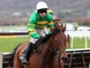 A lesão de Sir Gino prejudica a vitória do New Lion na Unibet Hurdle em Cheltenham