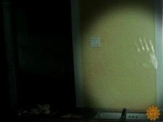 A história de vida de uma mulher além da morte