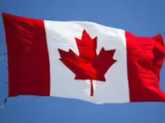 ‘Vivendo com medo constante’: cidade do Canadá pede emergência em meio a ameaças de extorsão por parte de gangsters Punjabi