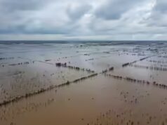 O retorno de Pa’ashi enquanto o Lago Tulare inunda novamente as terras agrícolas da Califórnia após 130 anos
