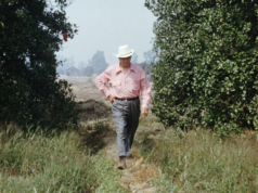 Novo filme no Disney+ revela a corrida frenética contra o tempo para construir a Disneylândia