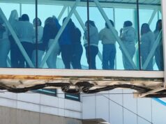 Poderia um presidente implantar uma lei de guerra contra os Beatles? A administração Trump diz “Sim”