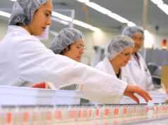 Ações da CSL, grande empresa australiana de biotecnologia, caem para o menor nível em 8 anos após a saída do CEO e lucros fracos