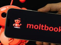 Elon Musk elogiou a plataforma Moltbook de ‘mídia social para agentes de IA’ como um passo ousado para a IA. Outros são céticos